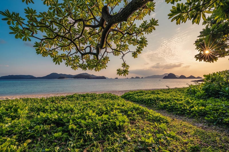 Nature Connection