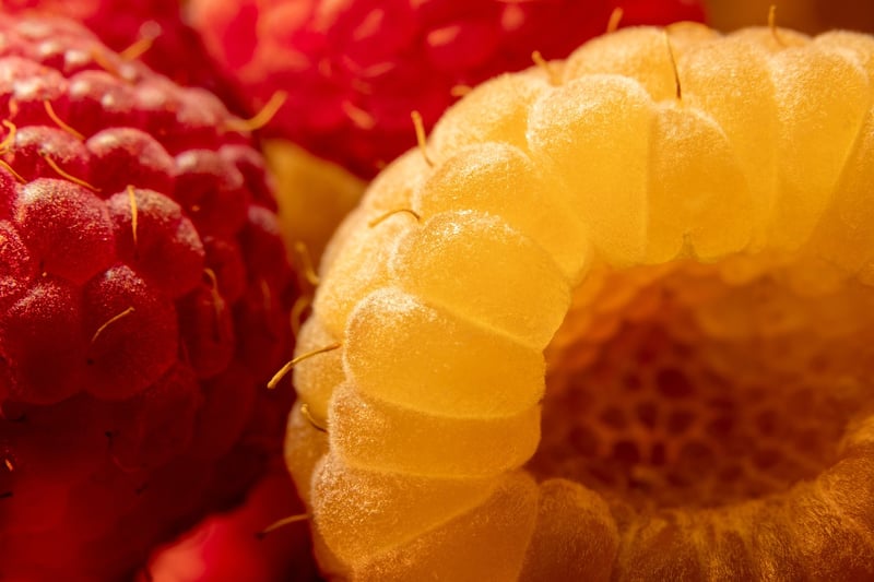 Fresh Raspberries